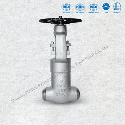 Flanş Uçları Dökme Çelik Sürgülü Vanalar ASME B16.5 Boyut 2" ila 36" API 6D